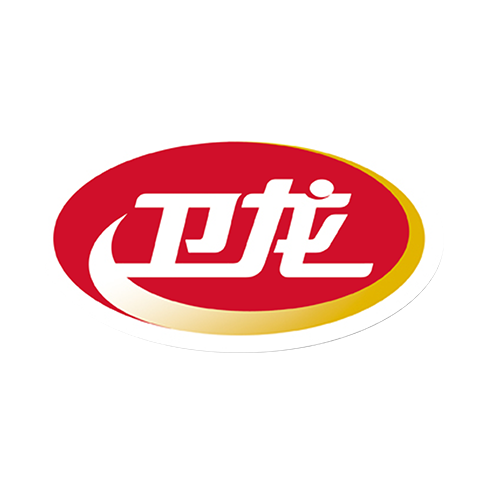 卫龙 WEILONG