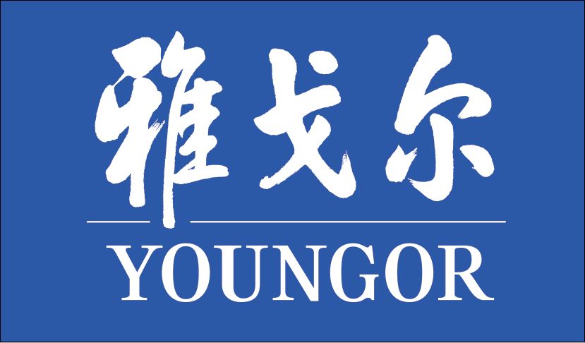 雅戈尔 YOUNGOR